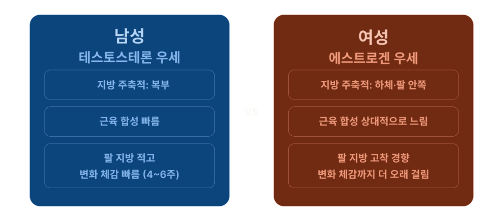 남자와 여자 호르몬에 따른 지방 형태