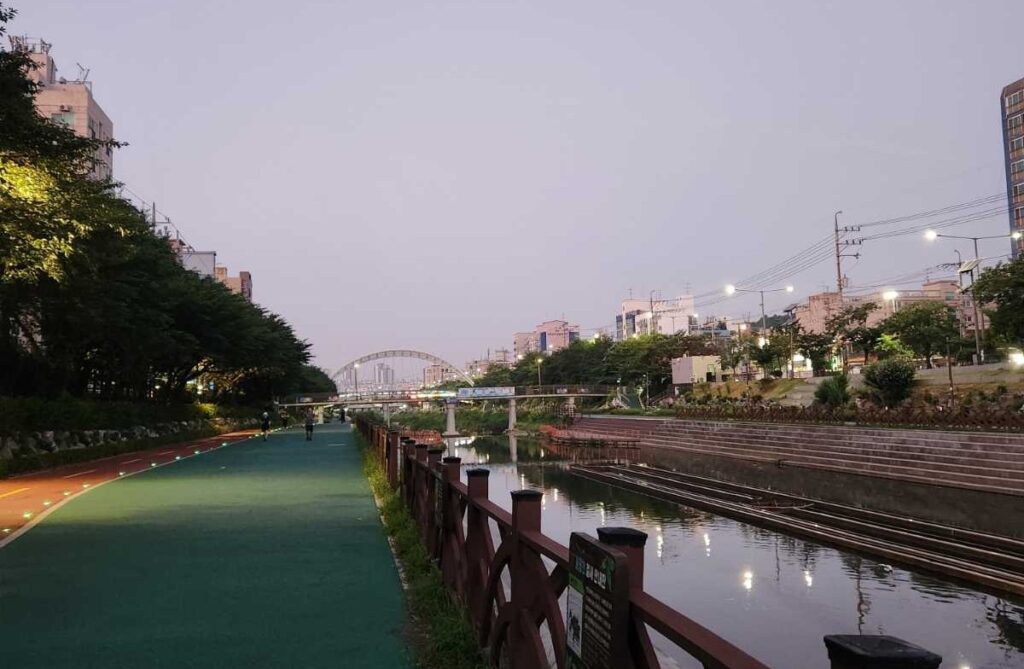 서울 야간 러닝
